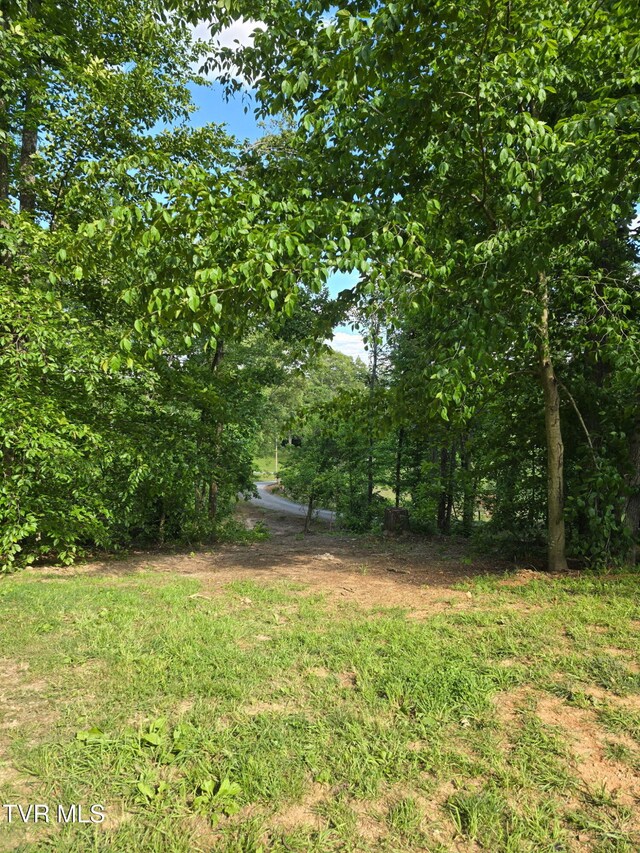 184/202 Sandidge Hollow Rd, Surgoinsville, TN 37873 - photo 38