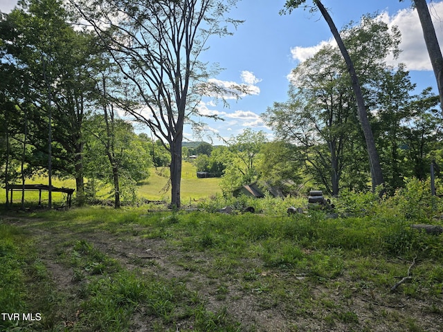 184/202 Sandidge Hollow Rd, Surgoinsville, TN 37873 - photo 44