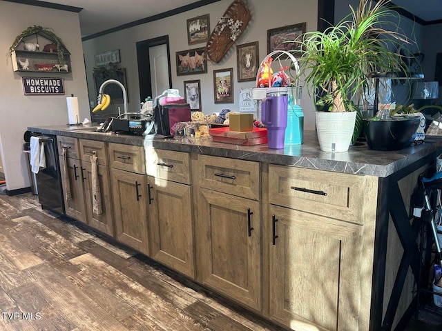 kitchen featuring ornamental molding, dark wood-type flooring, and sink