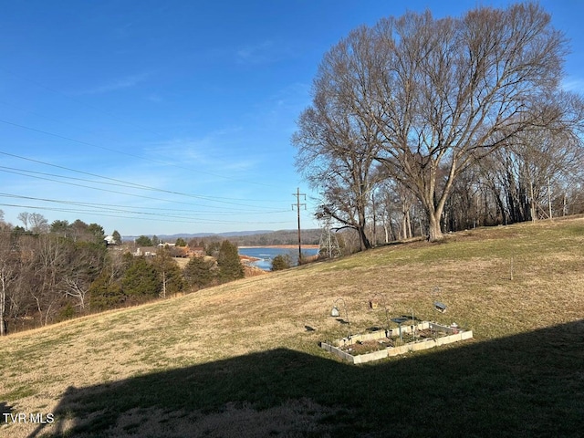 view of yard featuring a water view