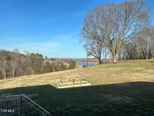 view of yard with a water view