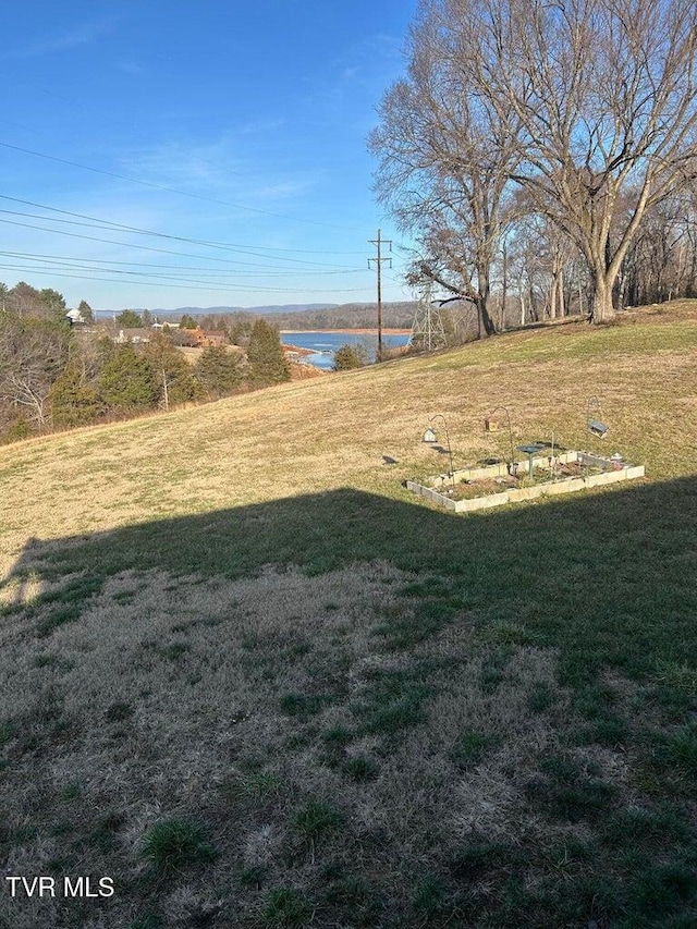 view of yard featuring a water view