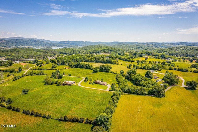 aerial view with a mountain view