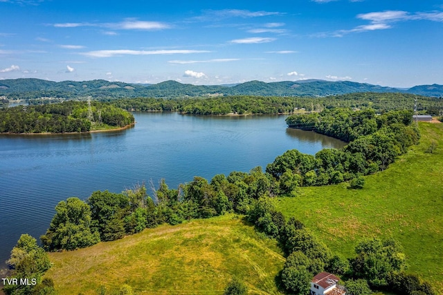 bird's eye view featuring a water and mountain view