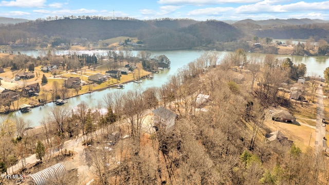 property view of water with a mountain view