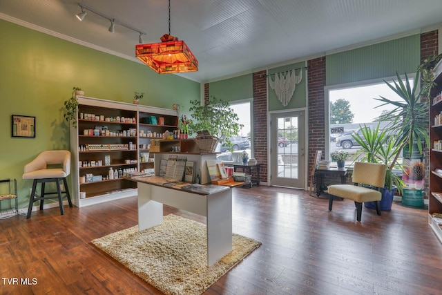 home office featuring track lighting, ornamental molding, and dark hardwood / wood-style floors