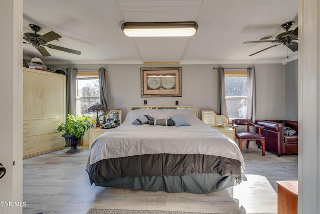 bedroom featuring crown molding, ceiling fan, and light wood-type flooring