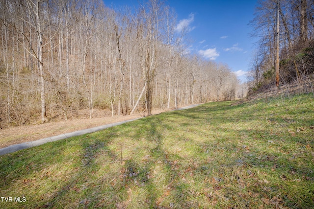 Listing photo 2 for 1795 Bear Hollow Rd, Greeneville TN 37745