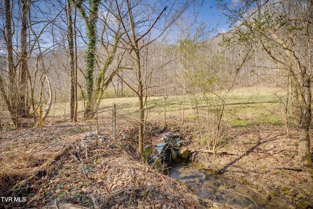 Listing photo 3 for 1795 Bear Hollow Rd, Greeneville TN 37745