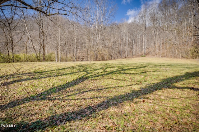 1795 Bear Hollow Rd, Greeneville TN, 37745 land for sale