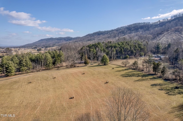 view of mountain feature with a rural view