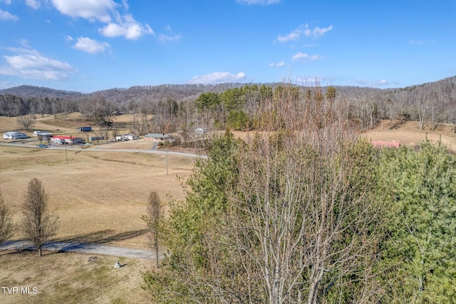 property view of mountains with a rural view