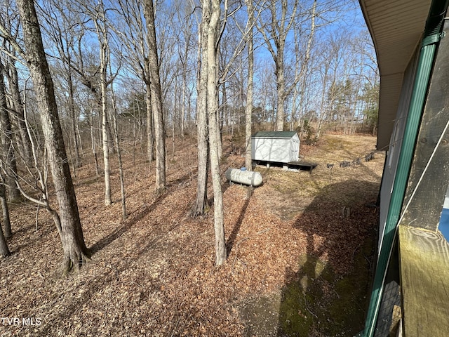 view of yard with a shed