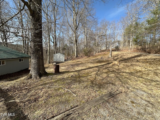 view of yard with a shed