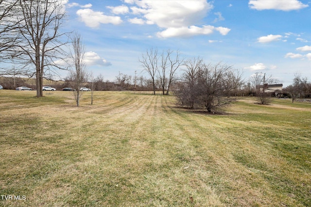 view of yard featuring a rural view