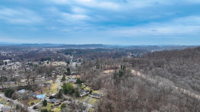 birds eye view of property featuring a mountain view