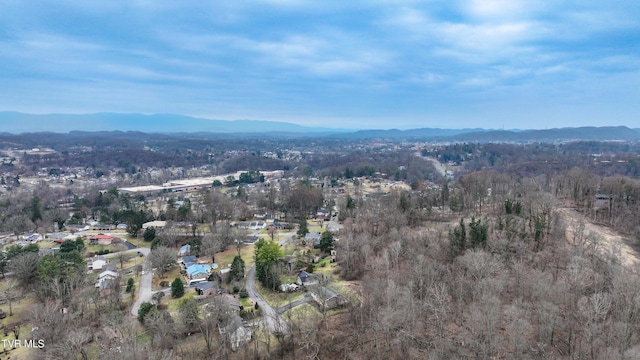 birds eye view of property featuring a mountain view