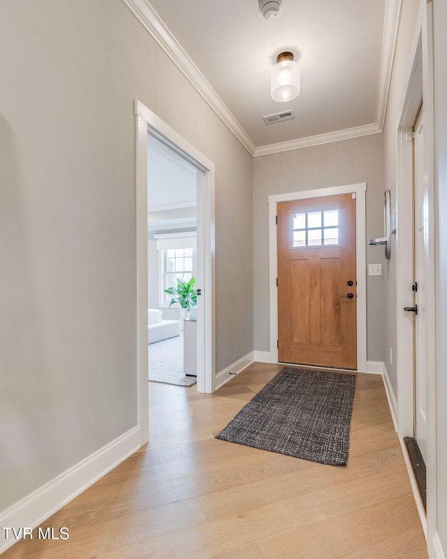 262 Harps Ln, Gray, TN 37615 - entryway with plenty of natural light, ornamental molding, light wood-style flooring, and baseboards
