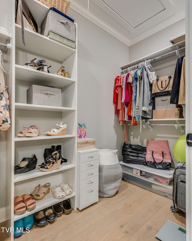 262 Harps Ln, Gray, TN 37615 - walk in closet featuring wood finished floors