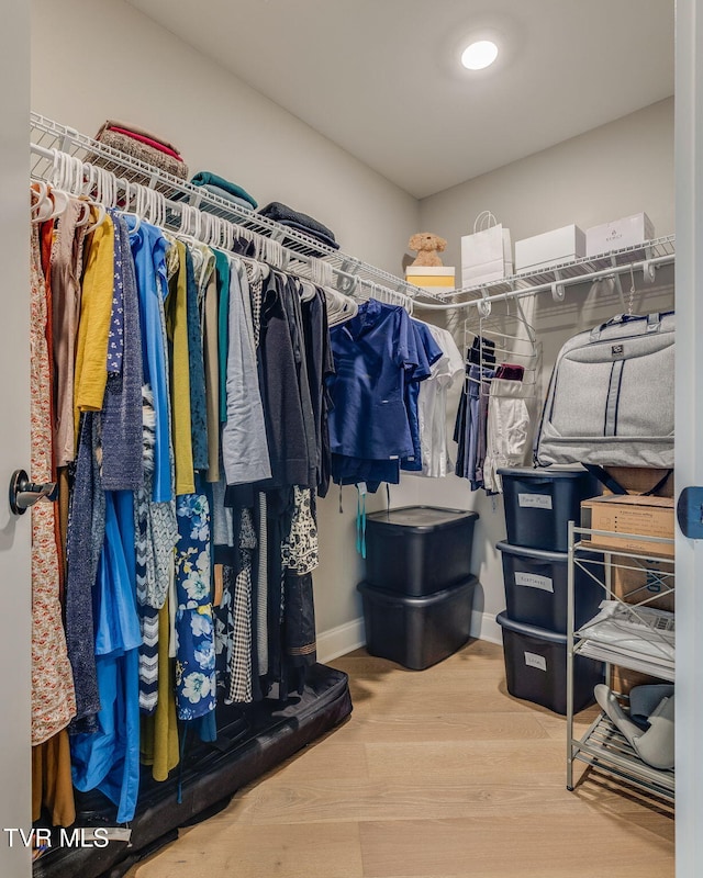 262 Harps Ln, Gray, TN 37615 - spacious closet with wood finished floors