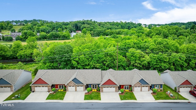 262 Harps Ln, Gray, TN 37615 - view of subject property with a heavily wooded area
