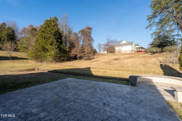 view of yard with a patio area