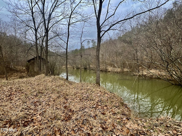 000 Pressmens Home Rd, Rogersville TN, 37857 land for sale