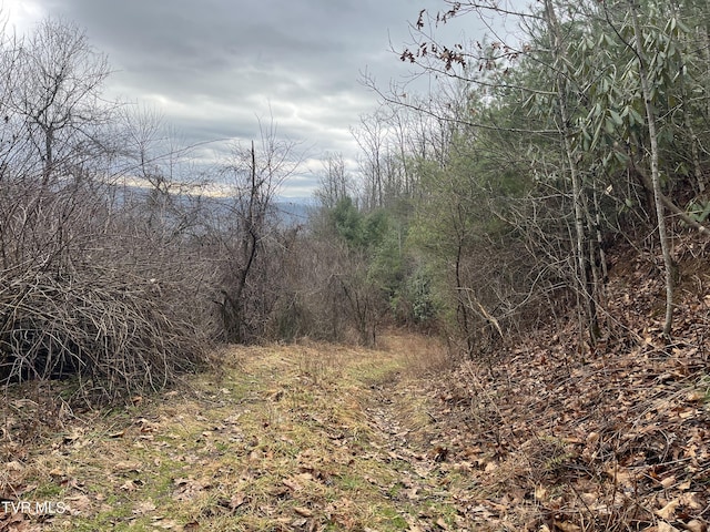 Tbd H Proffitt Lane, Butler TN, 37640 land for sale