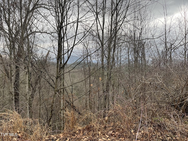 Listing photo 2 for Tbd H Proffitt Lane, Butler TN 37640