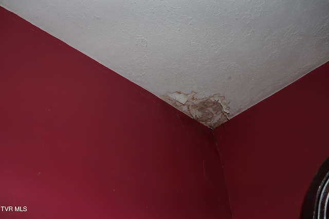 details featuring a textured ceiling