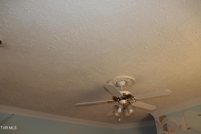 details with ornamental molding, ceiling fan, and a textured ceiling