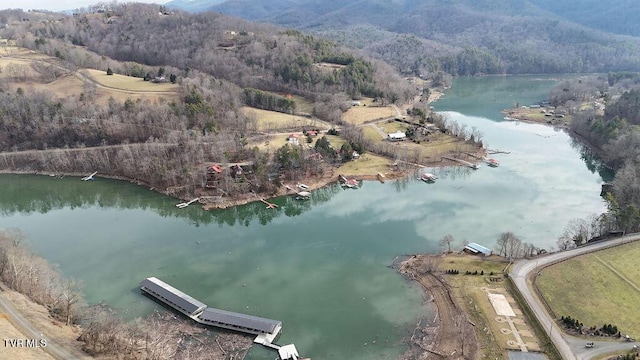 Listing photo 3 for LOT92 Tester Ln, Butler TN 37640