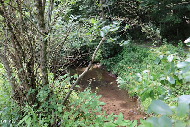 view of nature featuring a water view