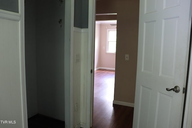 hallway with dark wood-type flooring