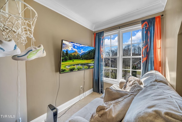 interior space with baseboards, carpet, and crown molding