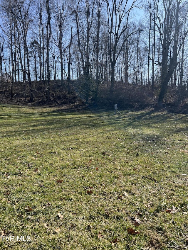 111 Clearwater Dr, Unicoi, TN 37692
