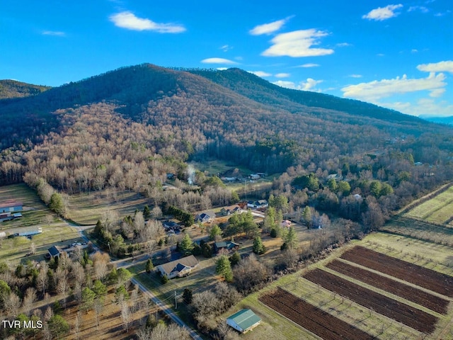 birds eye view of property with a wooded view and a mountain view