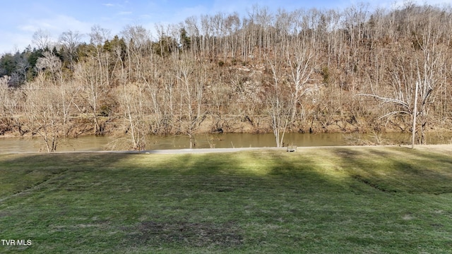 Listing photo 3 for 6 Waters Edge Rd, Duffield VA 24244