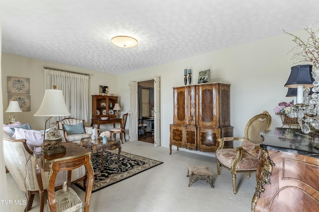 sitting room with a textured ceiling