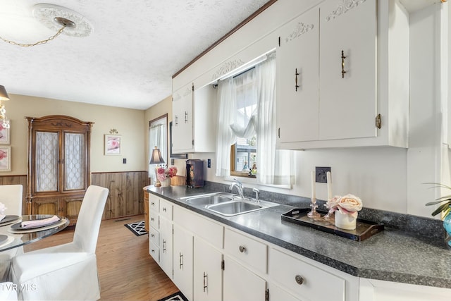 kitchen with a sink, a textured ceiling, wainscoting, and white cabinetry