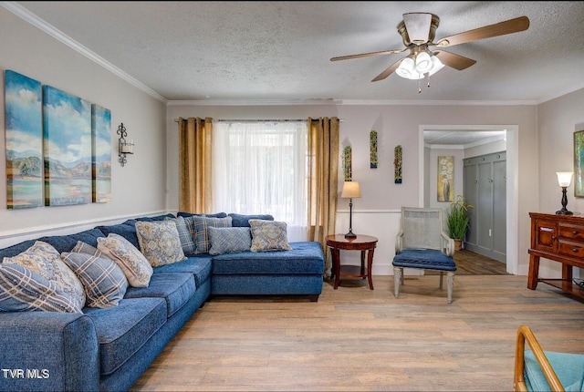 living room with ceiling fan, crown molding, light hardwood / wood-style flooring, and a textured ceiling