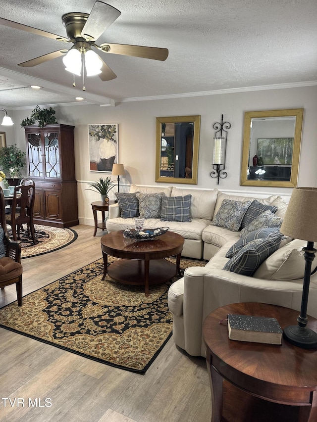 living room featuring wood-type flooring, ceiling fan, a textured ceiling, and crown molding