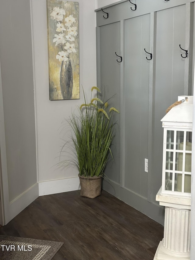 mudroom featuring dark hardwood / wood-style floors