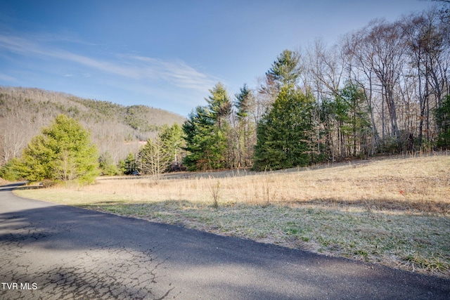 LOTS9-10 Myrtle Dr, Butler TN, 37640 land for sale