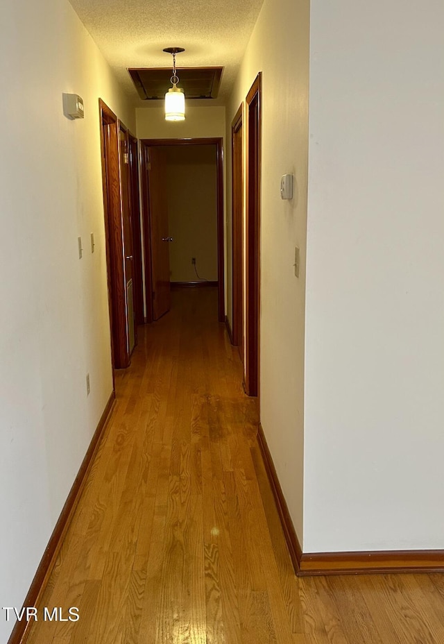 hallway with a textured ceiling and light hardwood / wood-style flooring