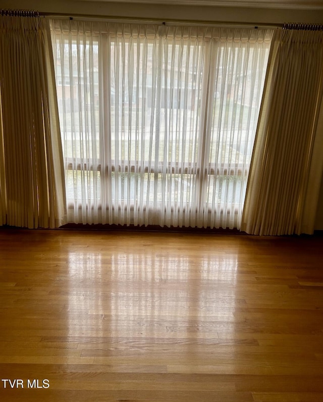 empty room featuring light wood-type flooring