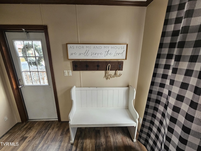 interior space with dark wood-type flooring