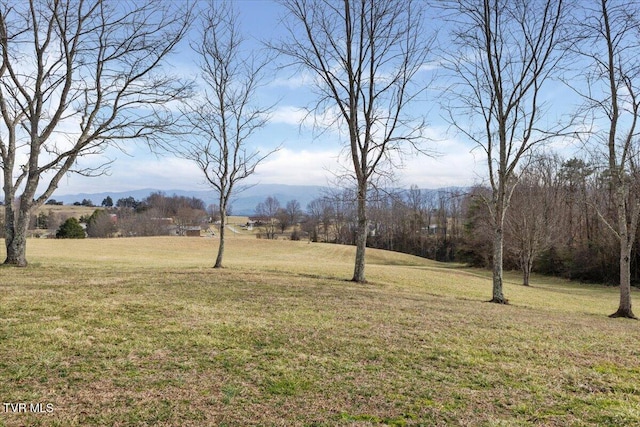 view of yard with a mountain view