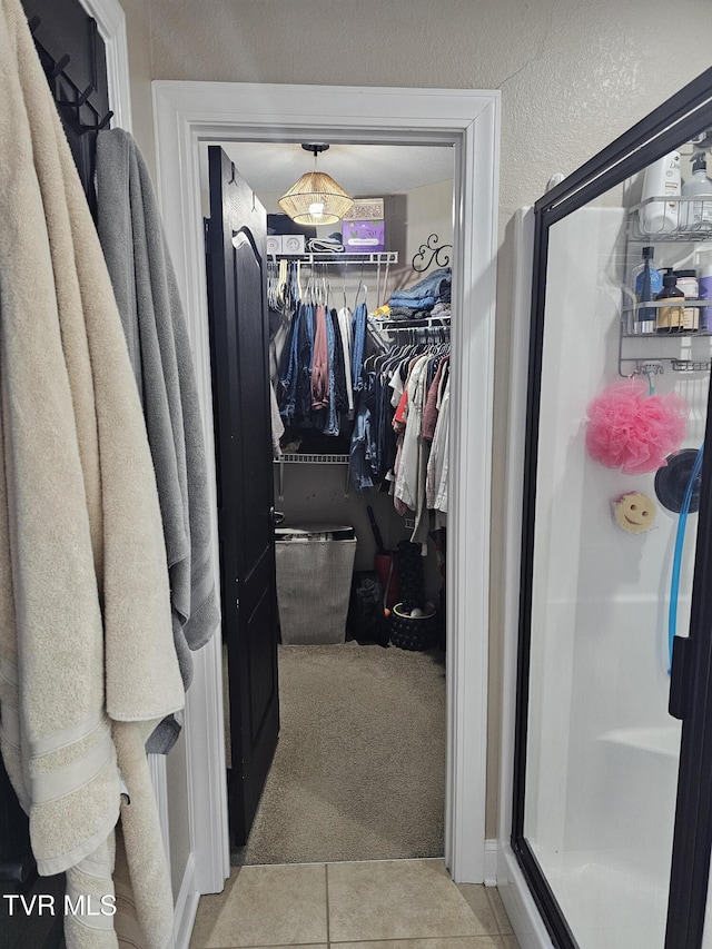 walk in closet with light carpet