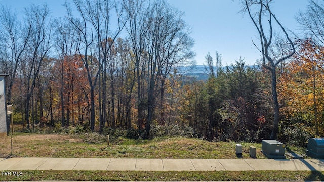 Listing photo 3 for LOT49 English Ivy Trl, Jonesborough TN 37659